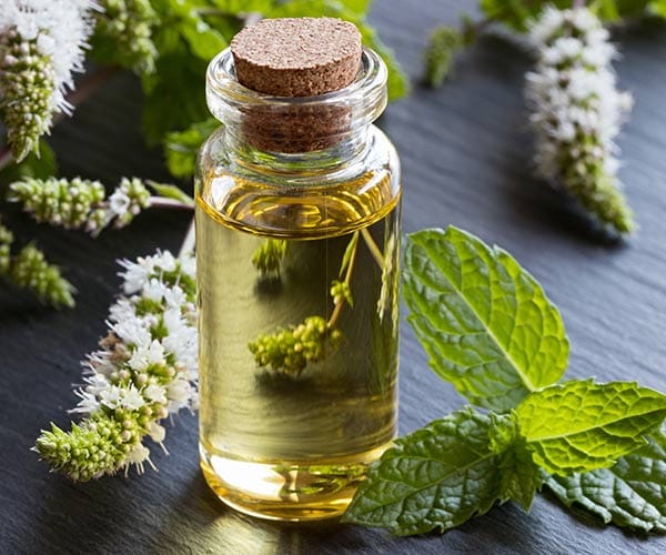 Peppermint Oil peppermint oil