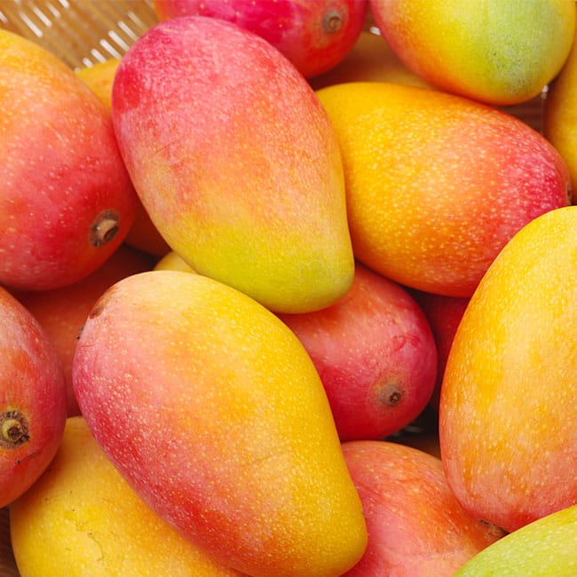 mango