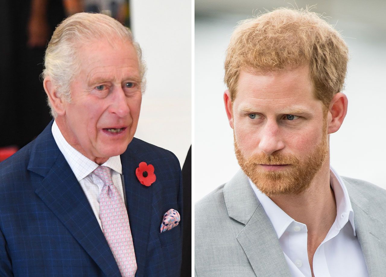 prince harry king charles