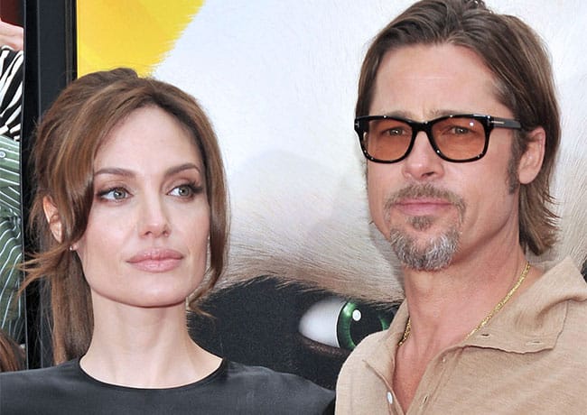 Brad Pitt and Angelina Jolie Kung Fu Panda premiere