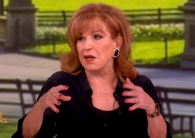 Joy Behar on The View