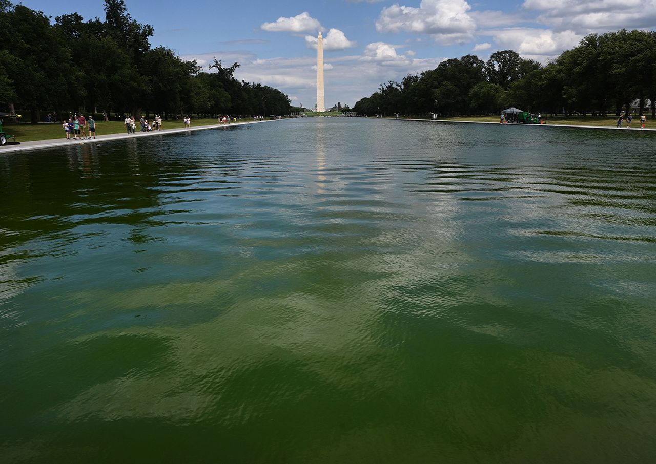 Donald Trump reflecting pool turns green