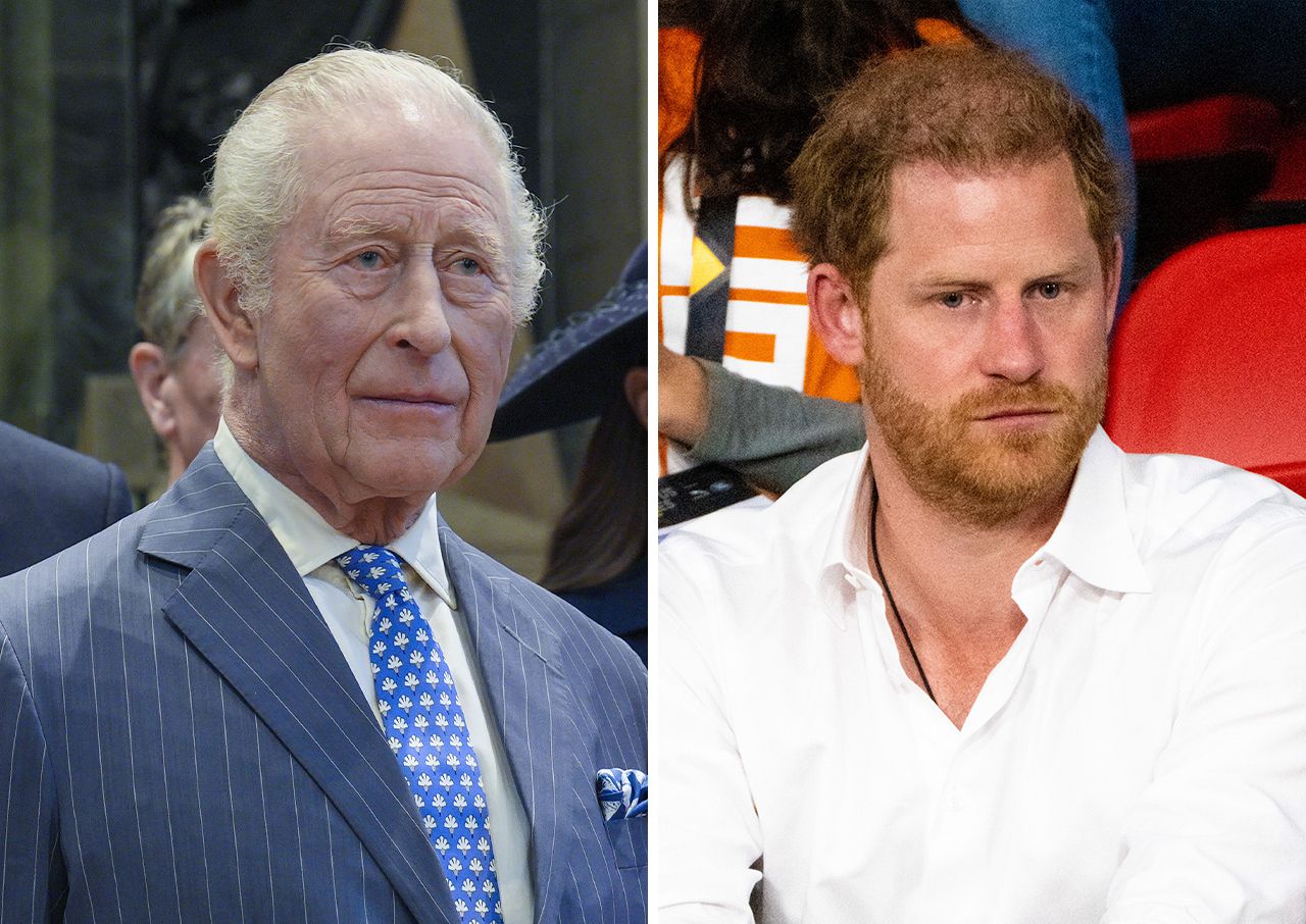 prince harry king charles