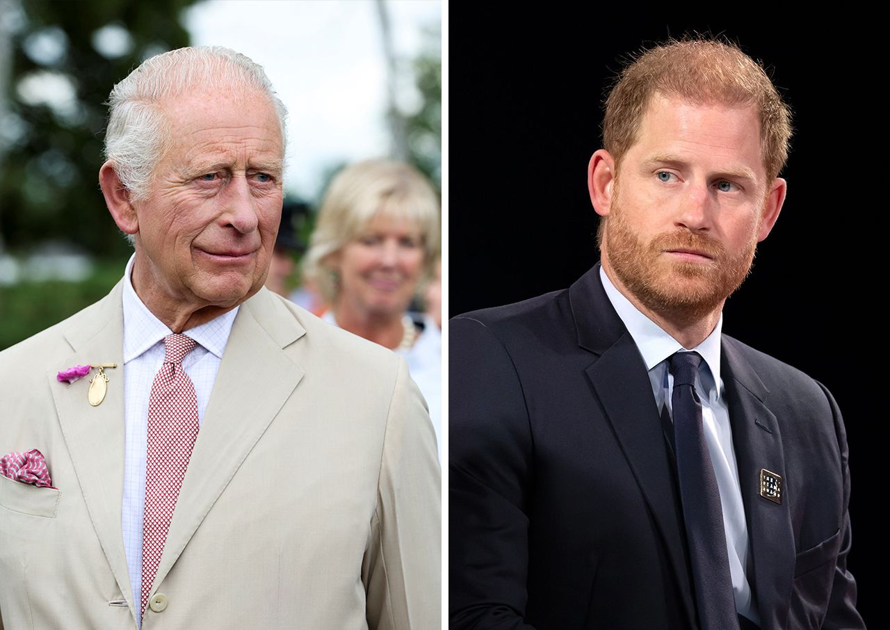 King Charles and Prince Harry