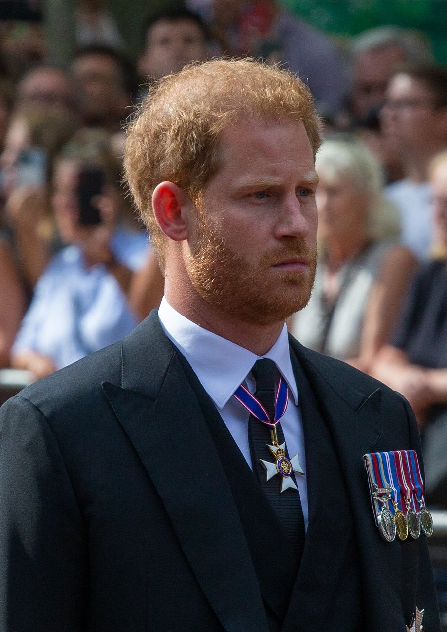 Prince Harry ceremonial procession from Buckingham Palace