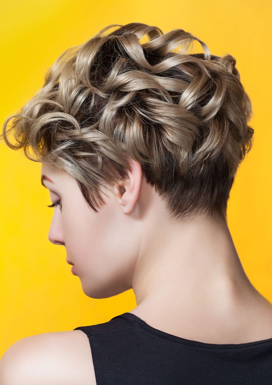 tapered-curly-crop