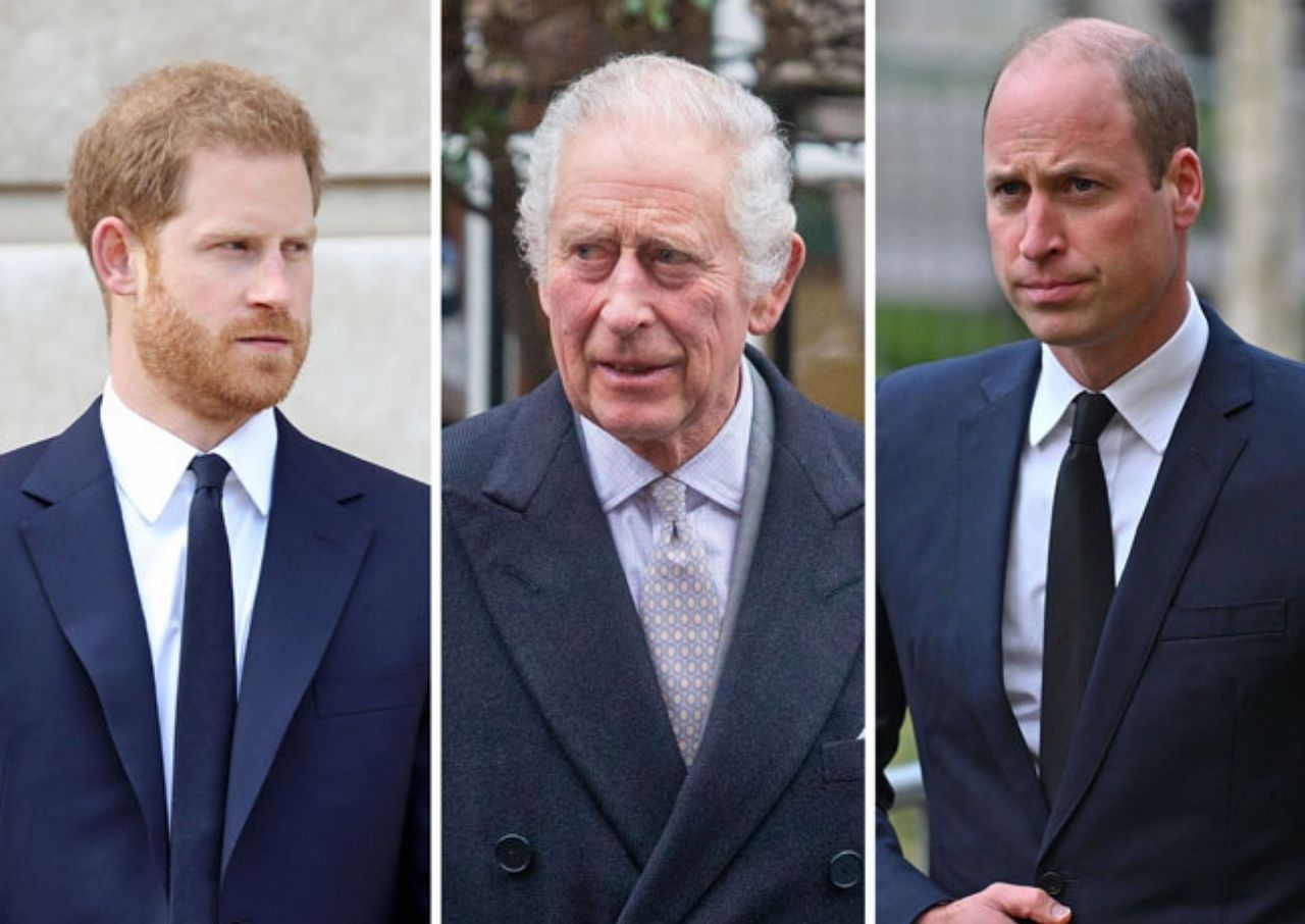 prince harry prince william king charles