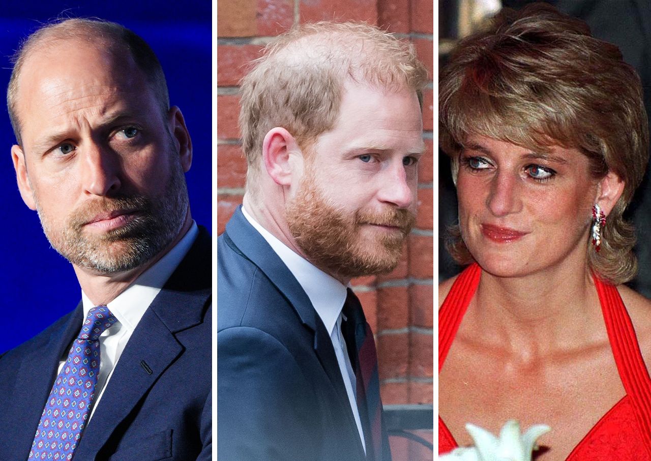 Prince William Prince Harry Princess Diana