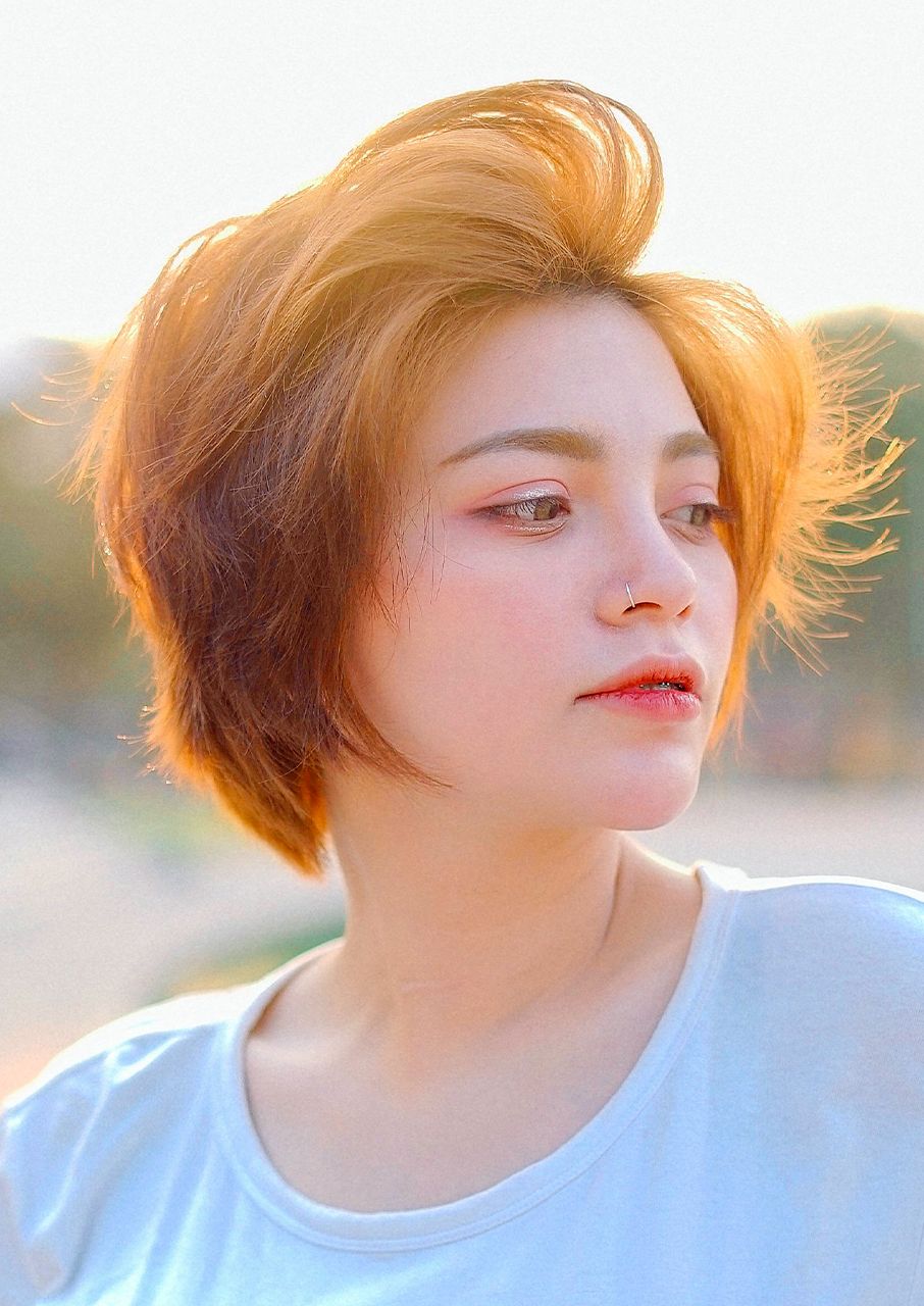 pixie-bob