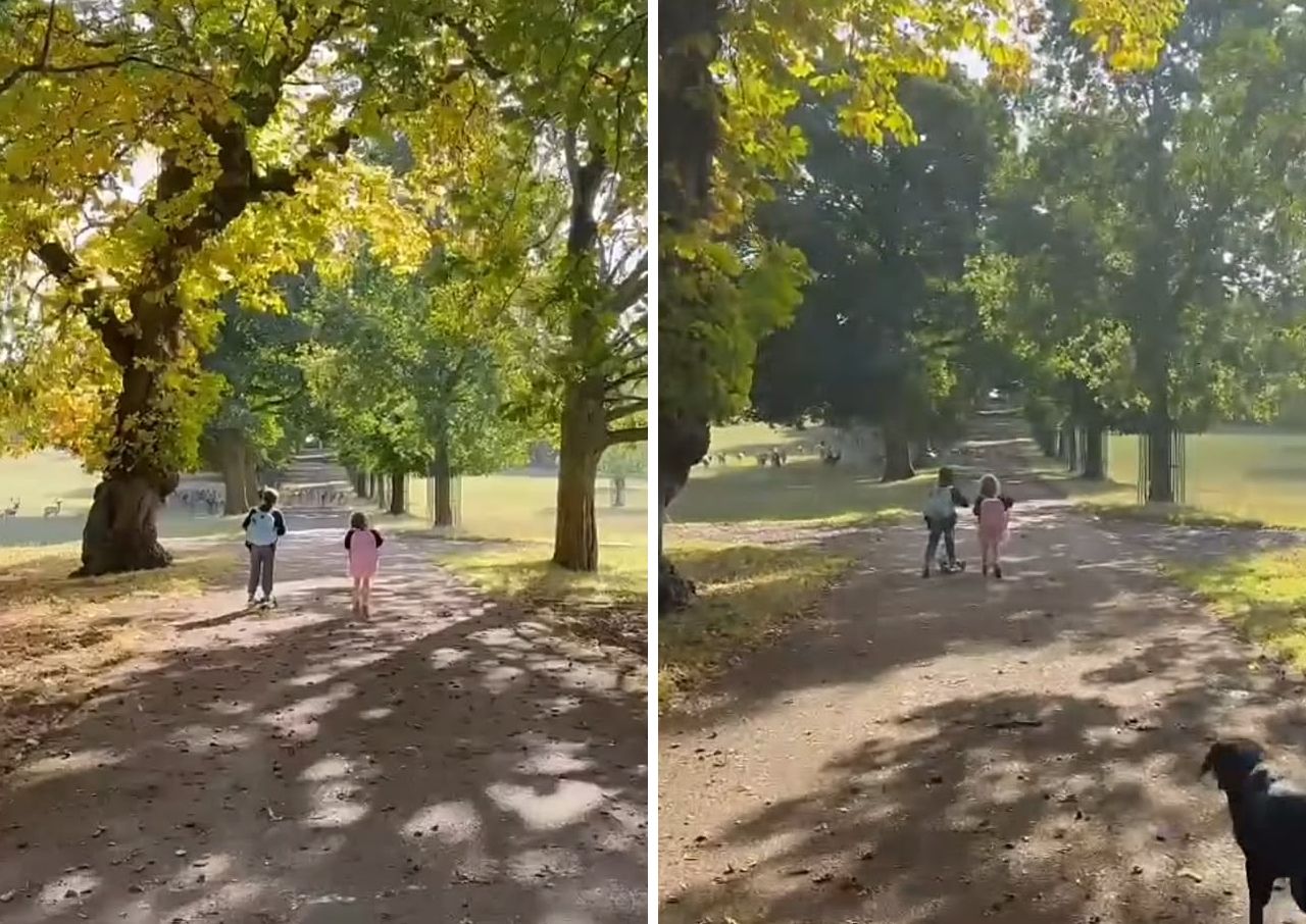 Meghan Markle Instagram Story Prince Archie and Princess Lilibet