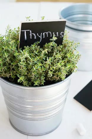 Grow Your Reception Food