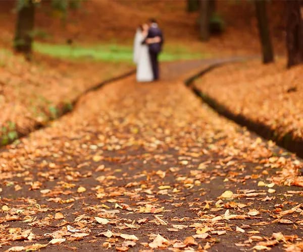 4. Shift The Focus fall wedding
