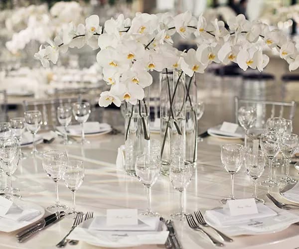 Neutral Colors White Flowers