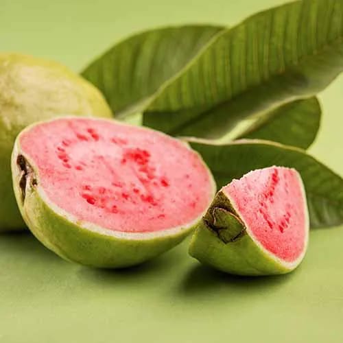 fruit burn fat