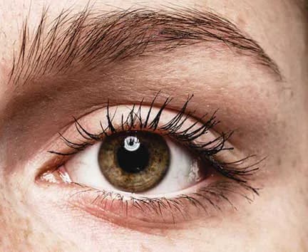 best lash and brow growth serum