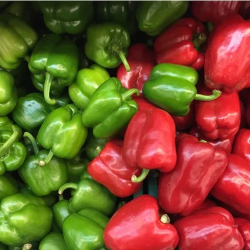bell pepper best vegetable for weight loss