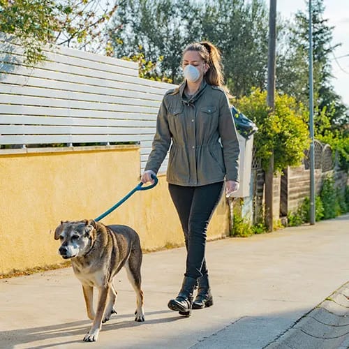 avoid weight gain during quarantine