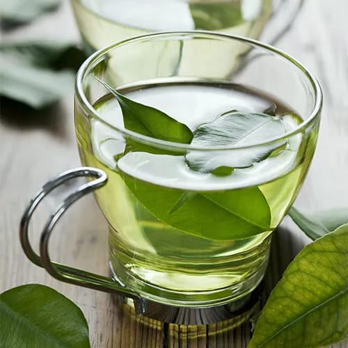 cup of green tea