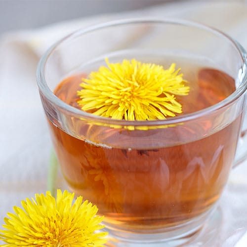 <h3>What The Dandelion Root Detox Tea From Kiss Me Organics Does</h3> best anti inflammatory detox tea younger skin