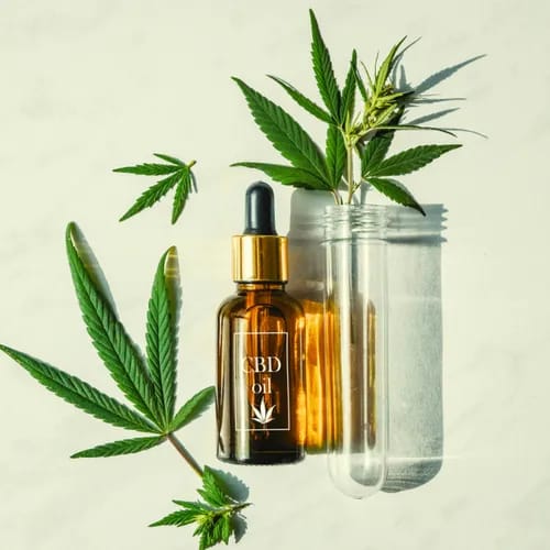 Soothing Eye Cream