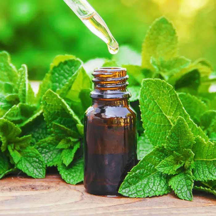 Peppermint oil.