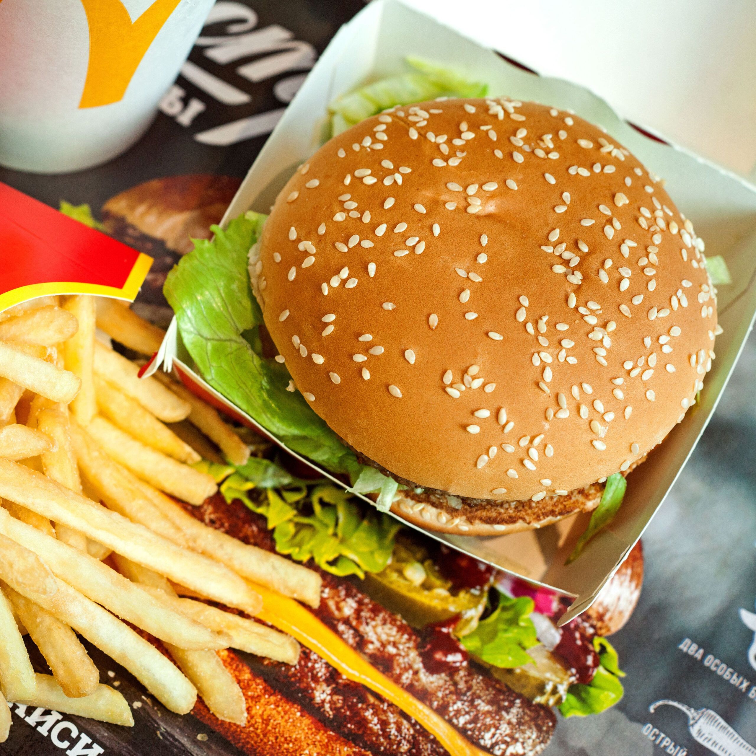 mcdonalds big mac and fries on tray