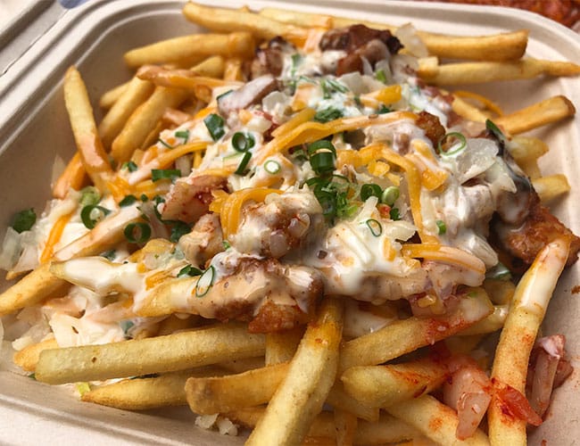 loaded fries topped with cheese sauce, meat, green onions