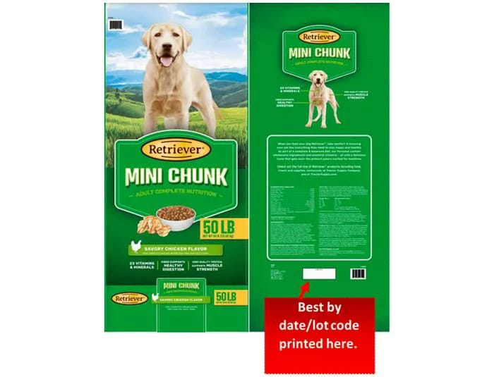 retriever dog food