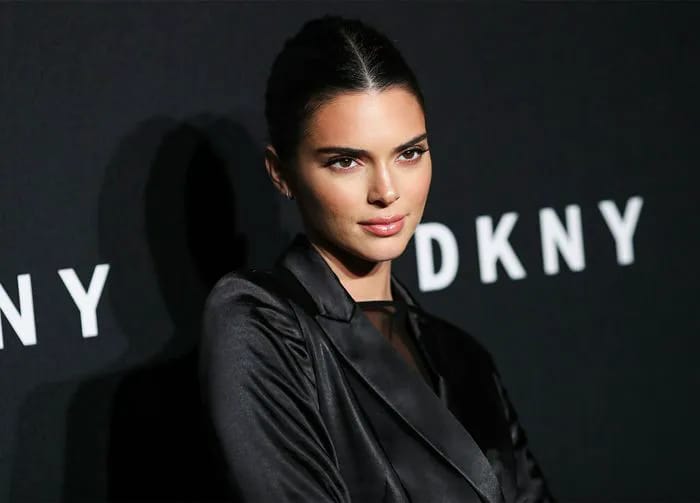 kendall jenner longchamp