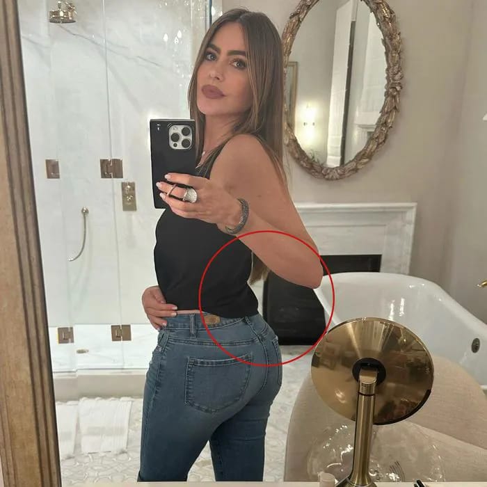 Sofia Vergara Instagram mirror selfie Photoshop fail