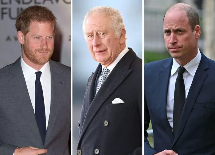Prince Harry King Charles Prince William