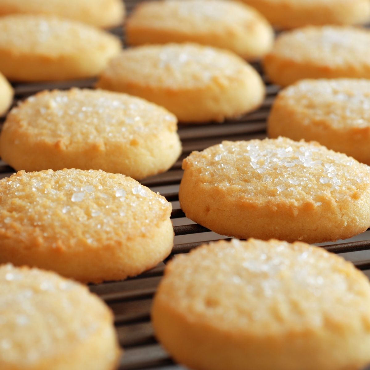 tray of sugar cookies