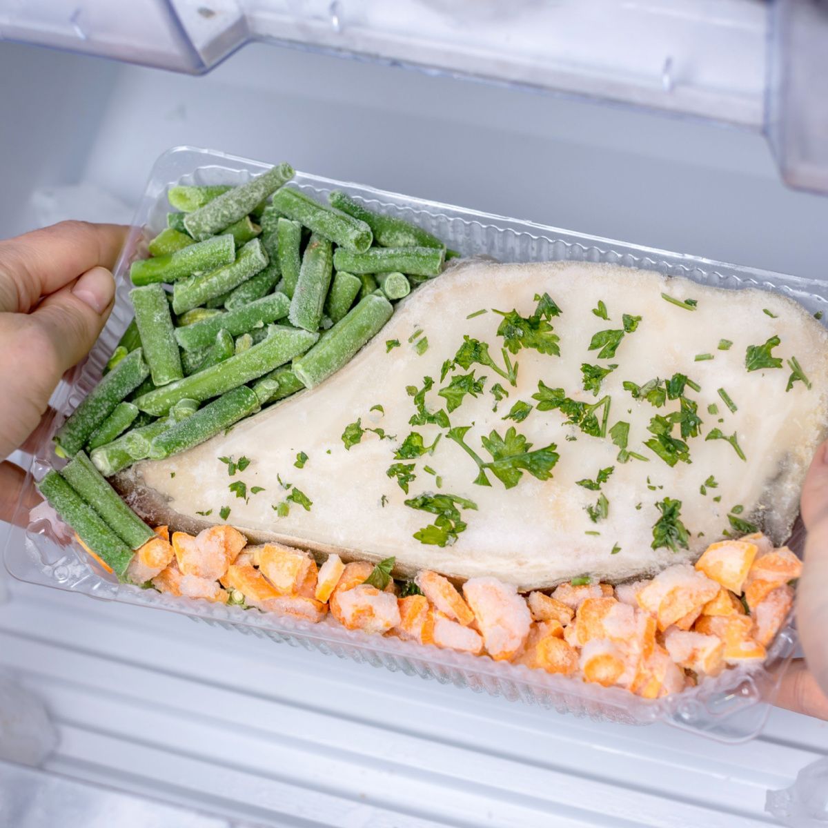 frozen dinner in freezer