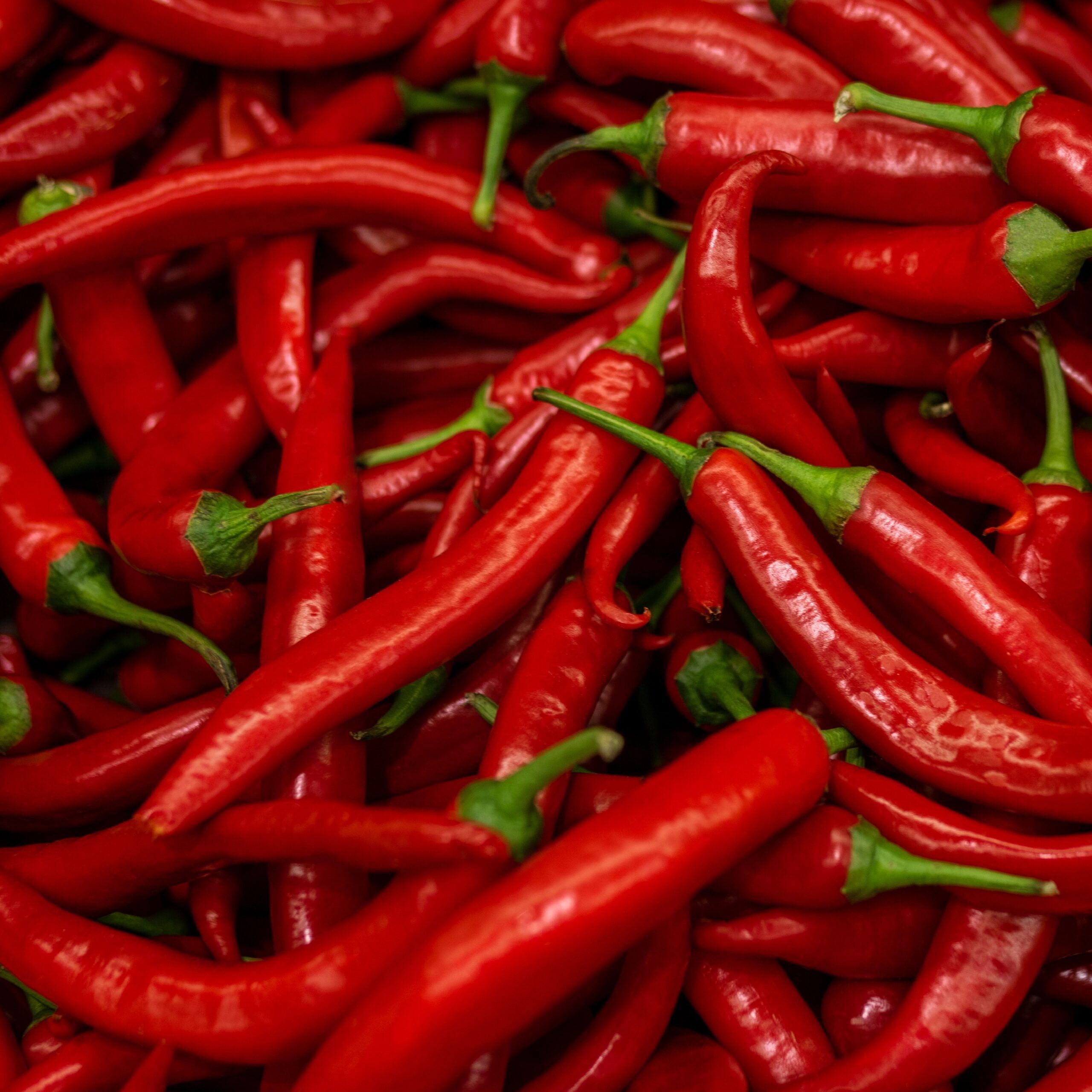 chili peppers