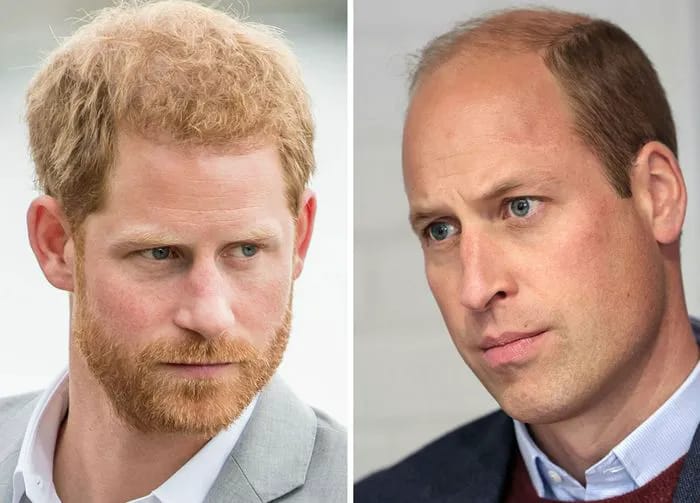 Prince William and Prince Harry