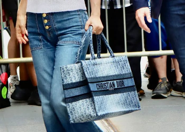 natalie portman dior bag