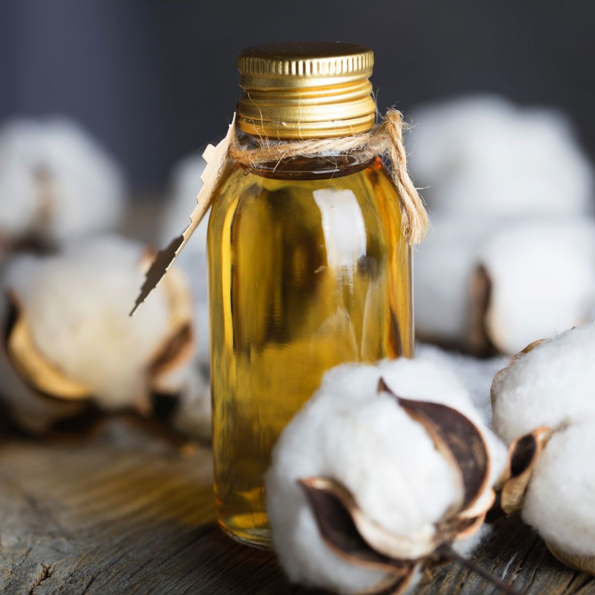 cottonseed oil