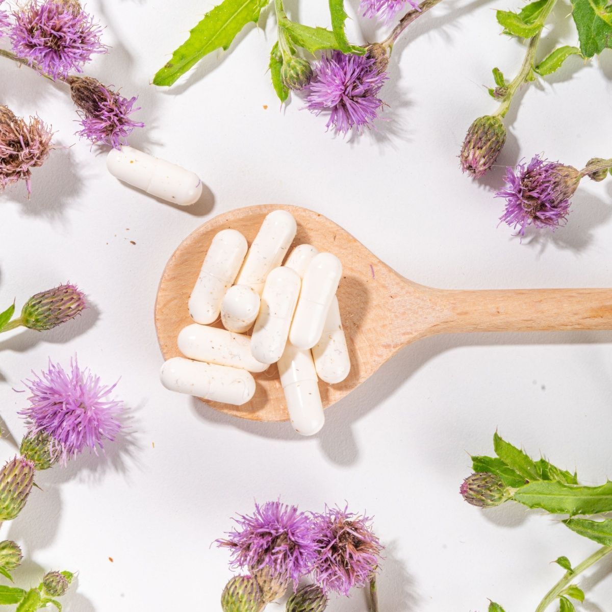 milk thistle
