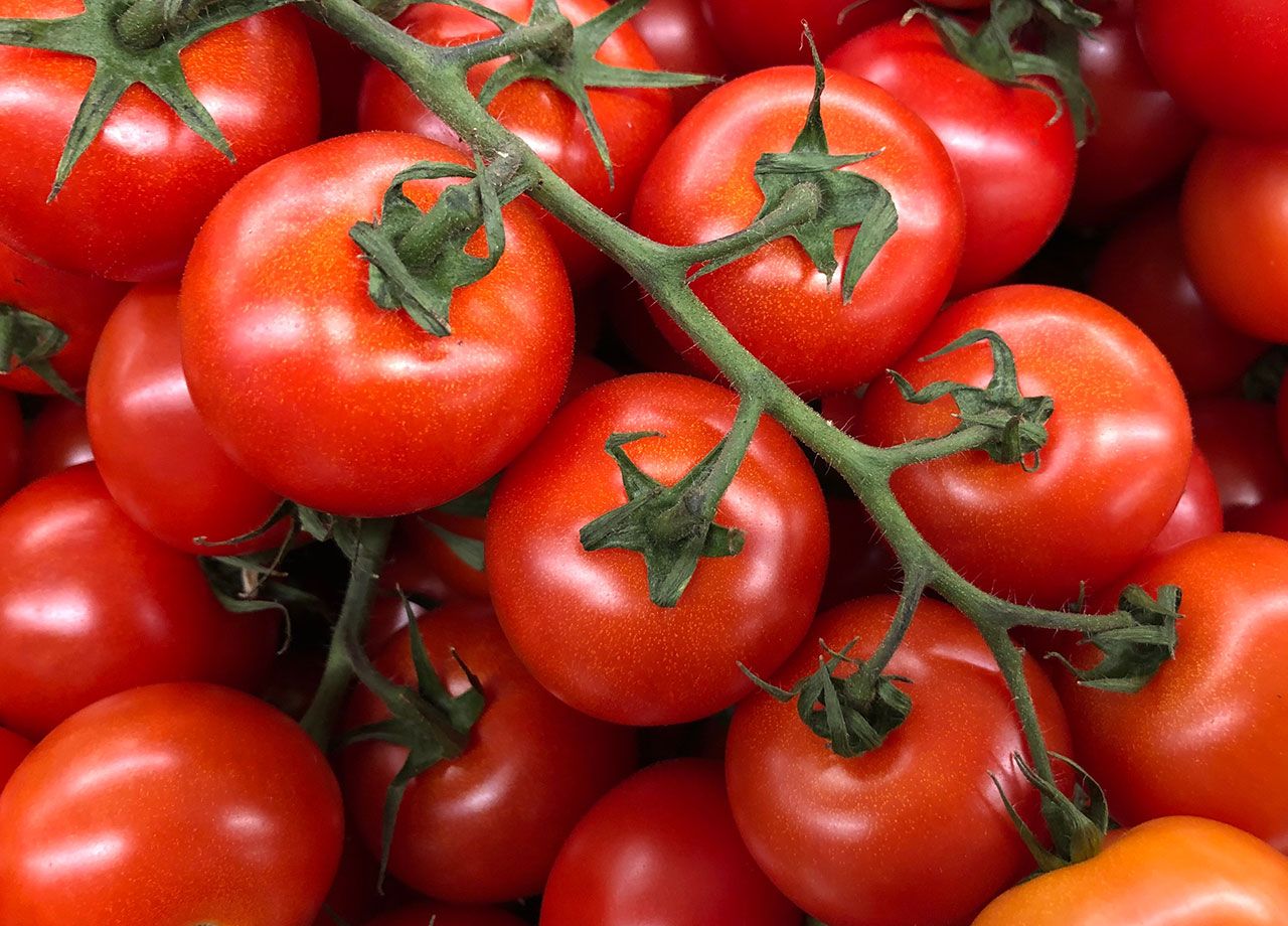 tomatoes