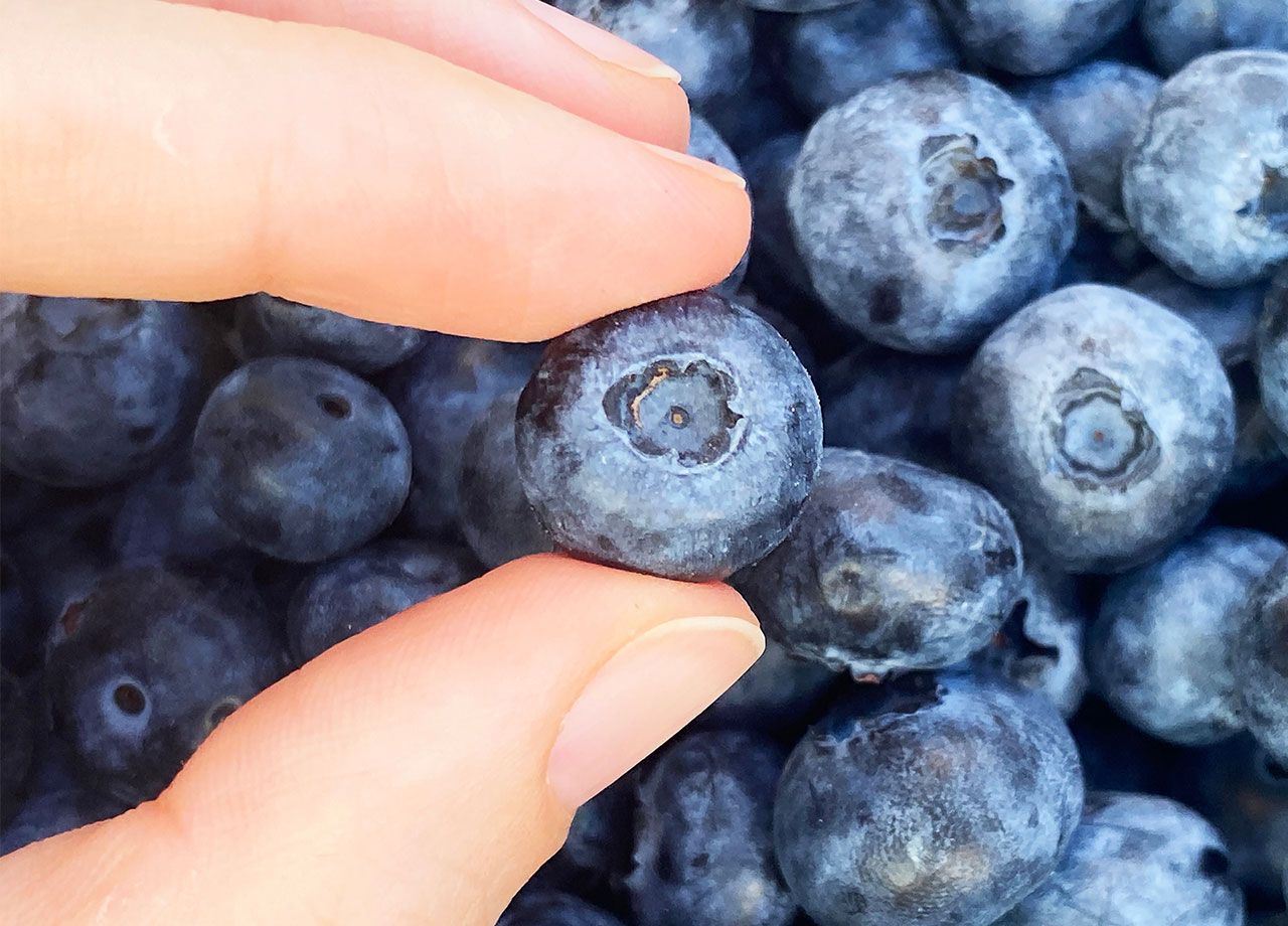 blueberries