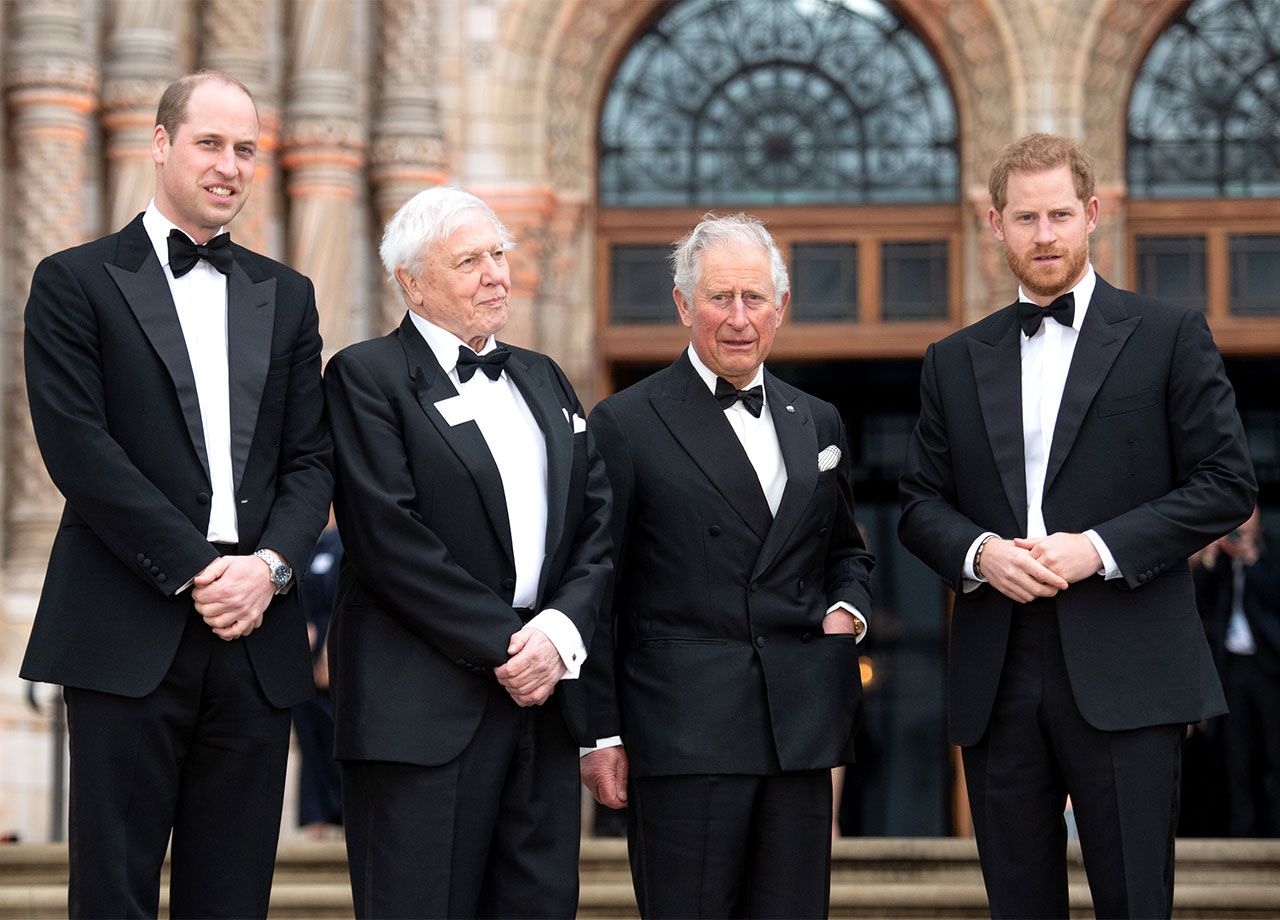 king charles prince william prince harry