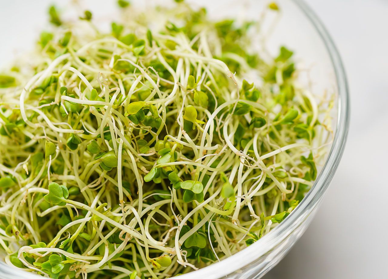 broccoli-sprouts
