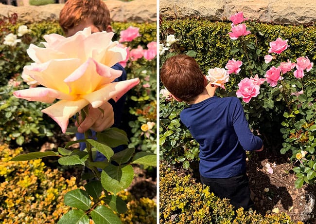 Meghan Markle and Prince Archie in the garden Instagram picture