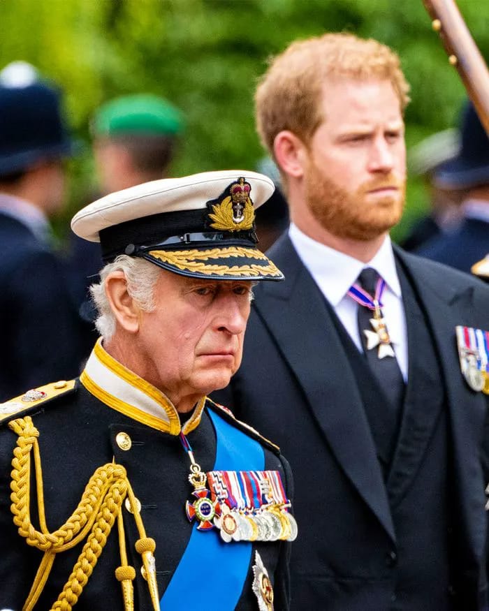 king Charles and prince harry