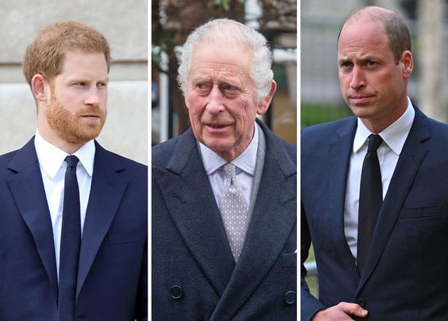 king charles prince william prince harry