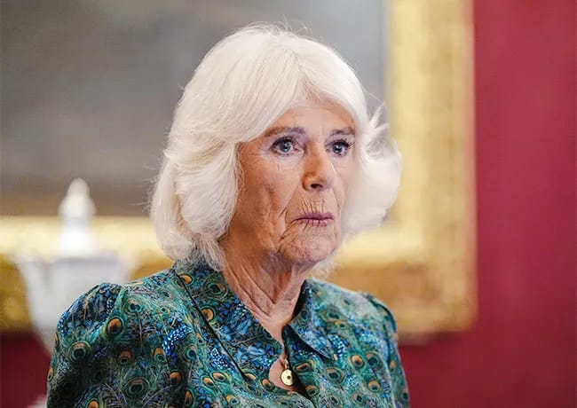 Queen Camilla hosts a reception for Book Aid International.