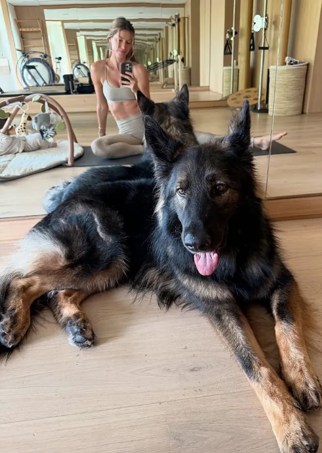 Gisele Bündchen and German Shepherd