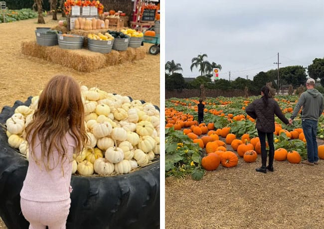 Meghan Markle Halloween pumpkin patch Instagram video with Prince Harry Prince Archie Princess Lilibet