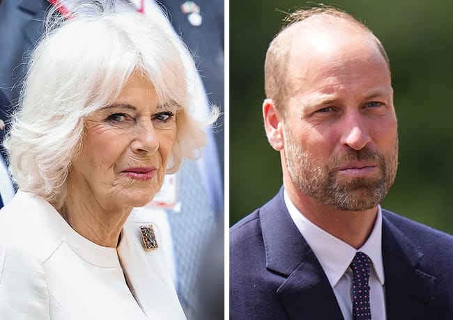 Prince William and Queen Camilla