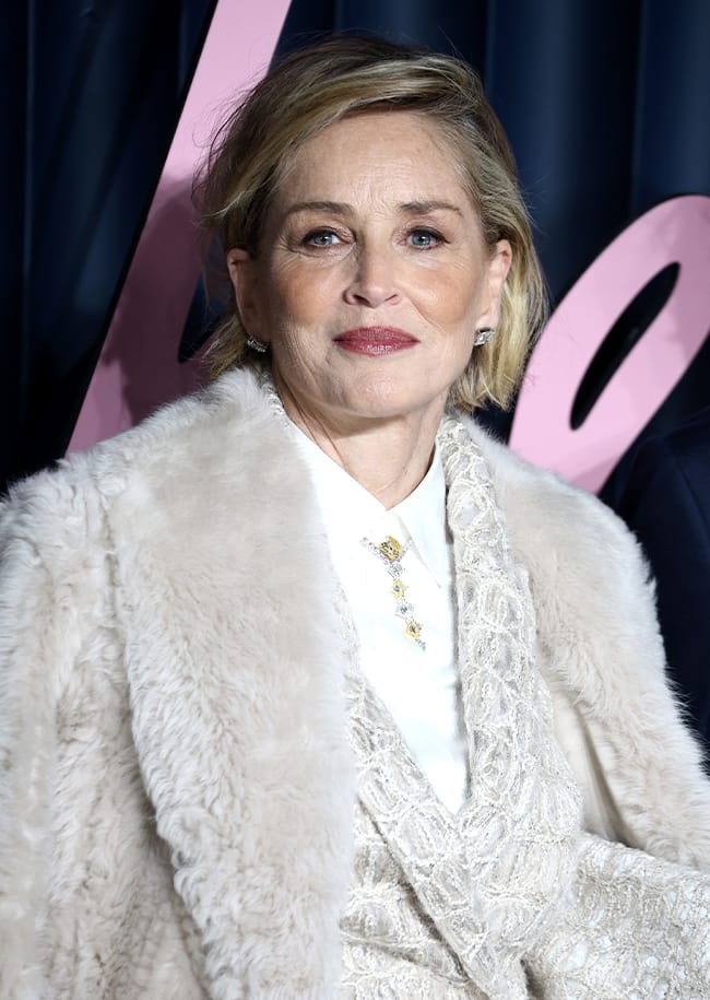 Sharon Stone The Fashion Awards